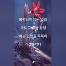 김연숙 ♬ &#39;그날&#39; 이미지