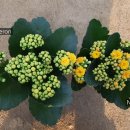 무지개2농장 이미지