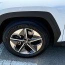 용봉세차장 | ✨버블의 마법! 광주 최고 손세차 경험 후기✨