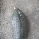 옛날토종국 Daum카페