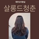 살롱드 청춘 | 제주도미용실 살롱드청춘, 스타일 변신 성공 후기