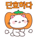 박수연헤어 - 안양시 만안구 | 박수연헤어