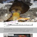 도서출판월간제주사랑