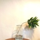 언톨드 커피(Untold Coffee)
