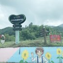 가야산칠불봉야생화마을 이미지