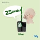 영광세탁 | 임신 25주차-26주차 | 임당검사 수치 • 재검 통과 후기