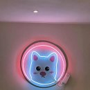 주정차76 이미지