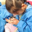 화인유치원 이미지