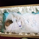 튼튼이농장 이미지