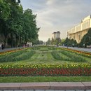 가로수길 이미지