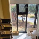 반려마루 동물병원 이미지