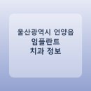 봉주르치과의원 | 울산광역시 언양읍 임플란트 정보 모음, 치과 링크와 평균 비용 정리