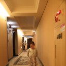 롯데호텔 실내수영장 이미지