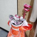 미샤스크린골프 이미지