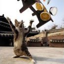 아름다운 울림 통기타 이미지