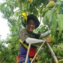 윤지농장 이미지