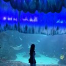 해양5로1L | [12월 호주 시드니 여행] 많은 걸 했지만 뮌헨 브로이하우스가 젤 기억에 남는 둘째날 (옵저버토리힐...