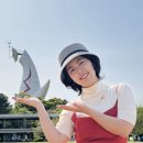 킨교 이미지