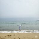 홍가네민박 | 강원도 고성 삼포해수욕장 개장 조개 해변 여름휴가지 추천