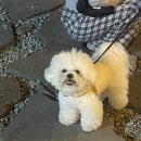 7월아 안녕!