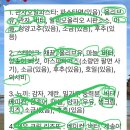 왕노 | [700일 여행] 룰렛에 모든 것을 맡기다