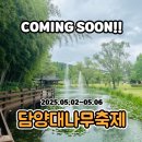 담양관광정보센터 | 2025 담양대나무축제 초대가수 프로그램 정보