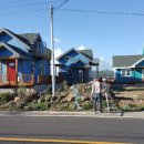 도리민박 이미지