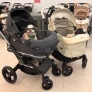 원미구 도약로 239 | 강아지 유모차 할인매장 부천 펫랜드 다견가정 로얄테일즈맥와 낫소빅 비교하고 왔어요