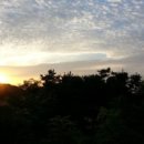 구름이 쉬는 나무 이미지