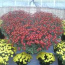 동래원예고등학교 이미지