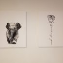 아비오(Avvio) 이미지