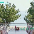 대게펜션민박