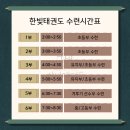 국가대표 한빛태권도 교육관 | [수업] 도담 한빛태권도