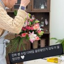 누즈플라워