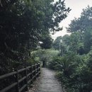 황우지해안열두굴 | 제주도 서귀포 여행) 황우지해안 절벽에서 제주도 야간 바다 감상!