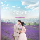 현진목장 | [공지] [HJ스냅] 2025 홋카이도스냅 여름라벤더시즌 공식안내