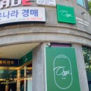 오쥐(oggi) 이미지