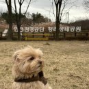 선암호수공원축구장(주말,동절기) | 인천 강아지 산책하기 좋은곳 &#39;청라생태공원&#39; 애견동반 공원