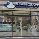 뽀dog 이미지