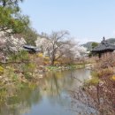 김창희공인중개사사무소 이미지