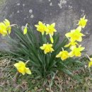 무학사슴농장 이미지