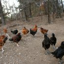 원스농장 이미지