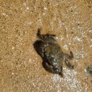 일이구엠 이미지