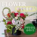힐링 꽃꽂이 | 관평동꽃집 대전 원데이 클래스 후기 | 꽃꽂이로 진짜 힐링하고 왔어요