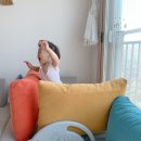 야니랜드 이미지