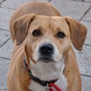 의정부24시IU동물병원 이미지