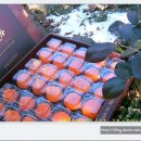 거시기농원 이미지