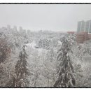 시범월드공인중개사사무소 이미지