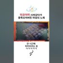 오사사