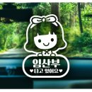 제제조이